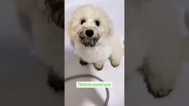 Расскажи о себе