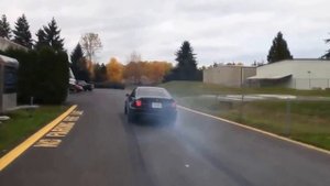 BMW M3 E46  Compilation Ever