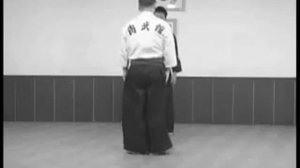 Hapkido (Хапкидо)
