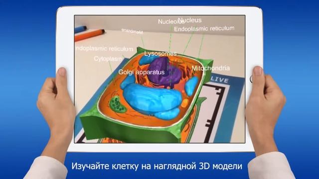 AR в обучении
