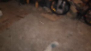 Приехали на ПМЖ в Усть Лабинск.