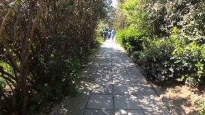 Солнечная тропа в Ливадии