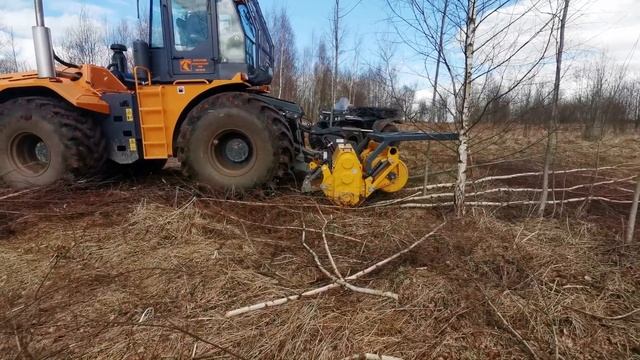 ЭКСКЛЮЗИВ для РАСЧИСТКИ! ТРАКТОР MF705 PRO 330 с ФИНСКИМ РОТОВАТОРОМ MERICRUSHER MJS-241DTG