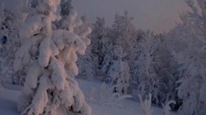 "Поет зима-аукает". Фотоработы Геннадия Северного."Маленький триптих"  Георгия Свиридова