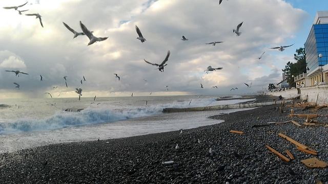 Пляж Чайка. Адлер. декабрь. смотреть онлайн