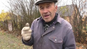 Деревенская жизнь навсегда!