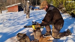 RYOBI® Brukeranmeldelse - 36V MAX POWER™  Kjedesag [RY36CSX35A]