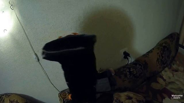 Вася Змей - 2й пилотный эпизод смотреть онлайн