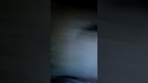 Залез в сгоревший дом