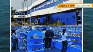 АФРОДИТА АДЛЕР 3* Россия Сочи обзор – отель АФРОДИТА АДЛЕР 3* Сочи видео обзор