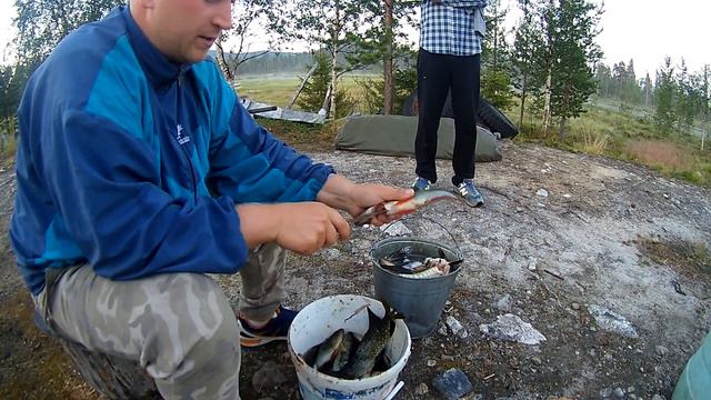 Полтора часа "ночной" рыбалки на Кольском смотреть онлайн