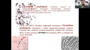 08 Перспективы использования бактериоцинов для биоконсервации птицеводческой продукции.