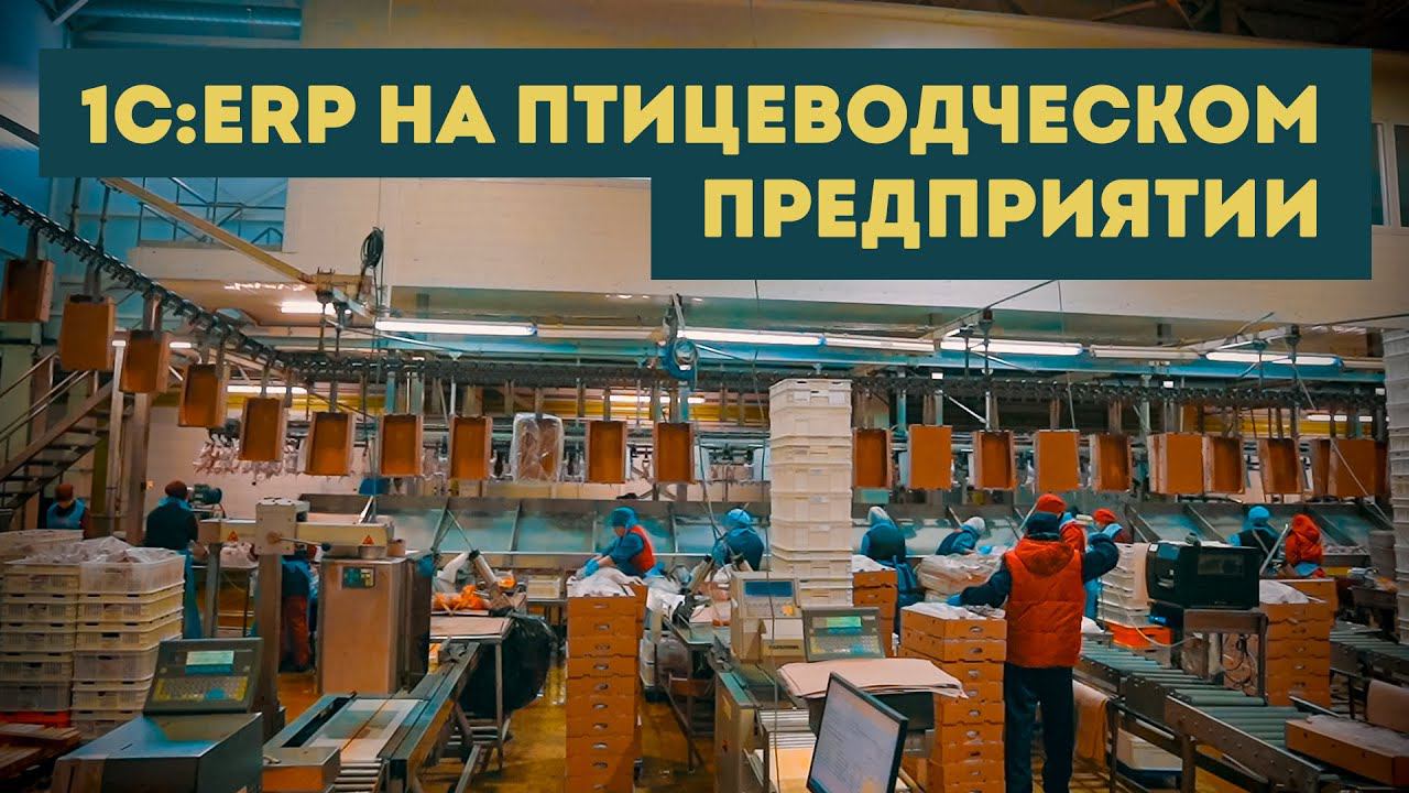 1C:ERP для Птицефабрики Рефтинская