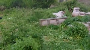 Переезд в деревню #9 купили тример Gramex gt-52 и покосили траву около дома.