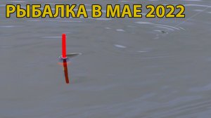 Первая рыбалка в мае 2022. ловля рыбы на реке.