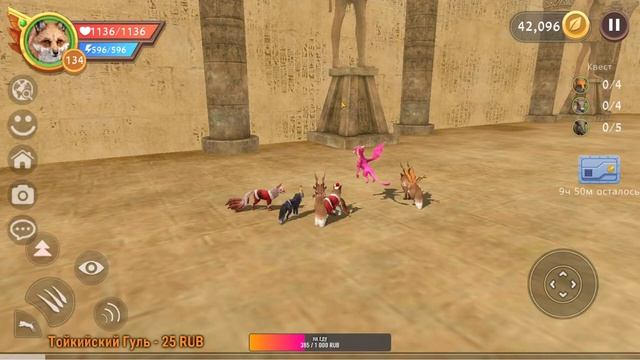 ВАЖНАЯ ИНФОРМАЦИЯ!