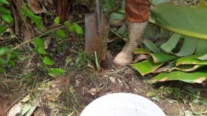 СМОТРЕТЬ ВСЕМ КТО ХОЧЕТ В БОЛИВИЮ! не очевидные проблемы переезда в Боливию (часть 1)