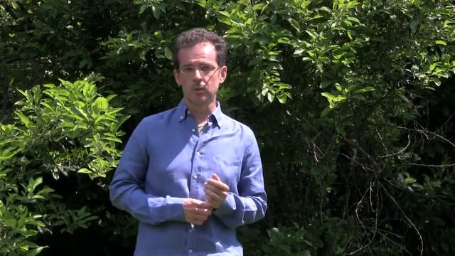 Uniti e Liberi | Paolo Risi смотреть онлайн