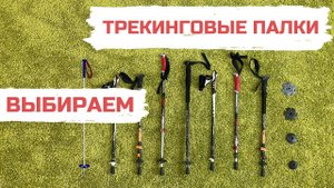 Выбор трекинговых / треккинговых палок для походов Обзор Виды Сравнение Различия Материалы
