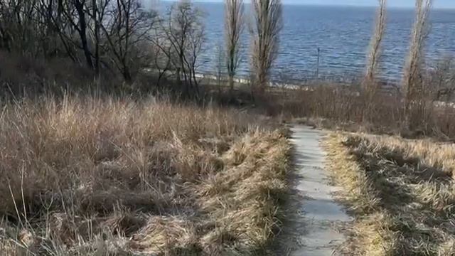 Вірші Шевченка від гр. П-20