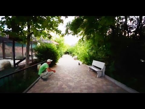 Люся выходит на пешую вечернюю прогулку и ВСТРЕЧАЕТ ВИКТОРА!