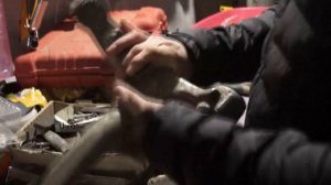 MERCEDES BENZ - ML320   СВЕЧИ