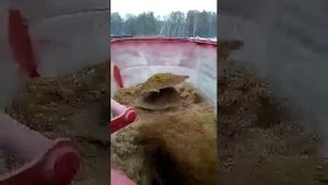 Самоходный кормораздатчик смешивание компонентов