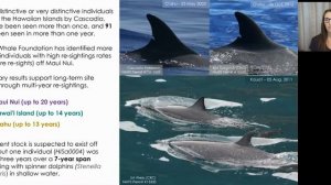 Photo ID of Spotted Dolphins in Hawaiian Waters Reveals Long-Term Re-Sightings