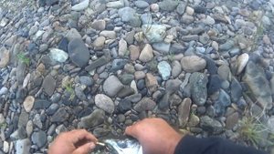 Симу на поплавок! Trophy fishing...