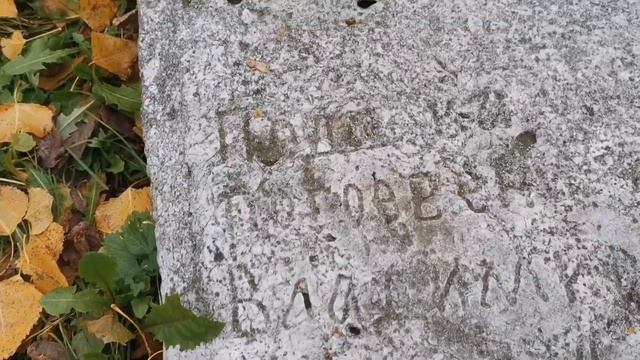 Древнейшее кладбище Воронежа! Место силы.