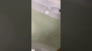 Лечение ионами водорода. Водородная ванна. Водородная терапия. Водород лечит. Лечение водородом. Сп