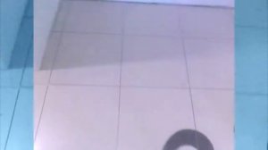 Узоры из двуцветной плитки и обрамление мозаикой