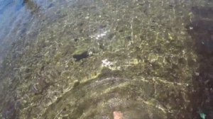 Отель NUMA BAY Exclusive 5 зв май 2021 Аланья Турция Дизайнерский отель Тюрклер А где же сервис