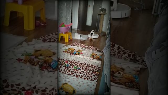 Французский бульдог Тося смотреть онлайн