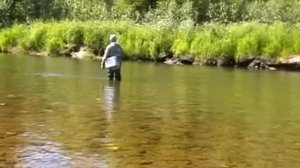 Рыбалка ловля хариуса / за 4 часа 2 ведра хариуса ленок / Сплав Сухой пит 2007 / Девственная тайга