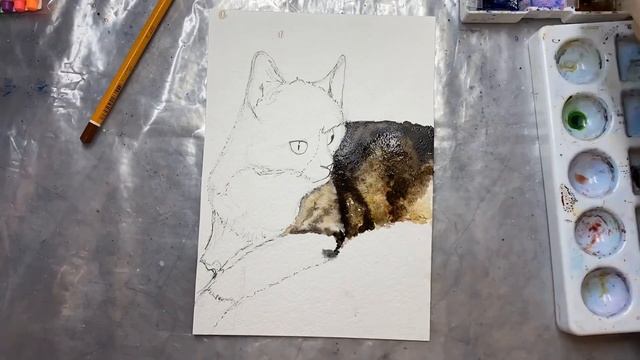 Как нарисовать кошку. Как рисовать акварелью. Скетчинг. Акварель смотреть онлайн