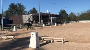 Жесть!!! Какой неожиданный финал!!!  ППдА. Выездка.Продолжаем работать!( галоп шаг и равномерность!