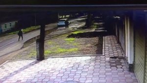 Мальчика украли школа #4 кант