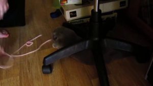 шибари с креслом