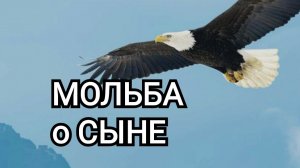 "МОЛЬБА о СЫНЕ" | АННА и САМУИЛ (1) #УтросБИБЛИЕЙ