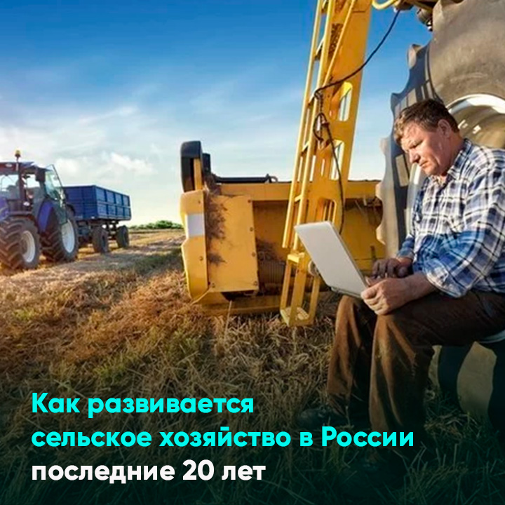Как развивается сельское хозяйство в России последние 20 лет
