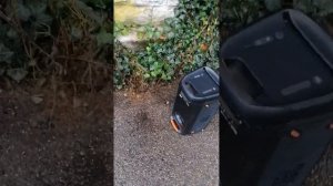 JBL PARTYBOX 100 vs JBL Flip 5