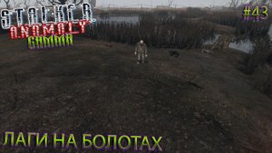 ЛАГИ НА БОЛОТАХ | STALKER ANOMALY GAMMA | Серия 43