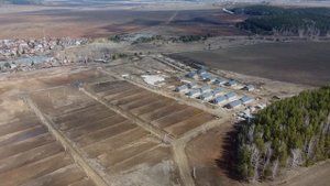 Сидельники парк