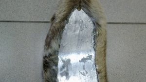 Лыжи охотника  обшитые камусом