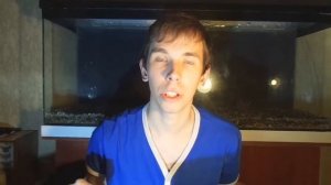 Почему белеет икра у рыбок? Икра Анциструсов.