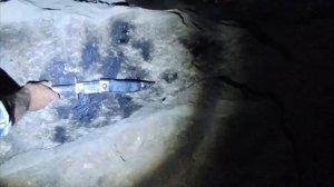 РЕАЛЬНЫЙ ЧЁРТ НАПАЛ В САРАЕ! 8 ЖУТКИХ СУЩЕСТВ СНЯТЫХ НА КАМЕРУ