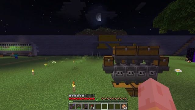 Мы прожили 3000 дней в майнкрафте. #0083 S10YM смотреть онлайн