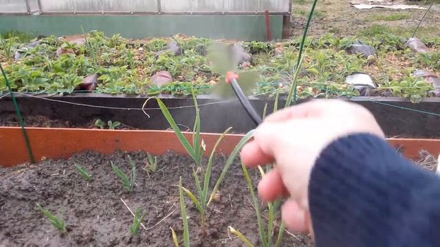 Обзор капельниц и спринклерных оросителей. Часть 3 смотреть онлайн