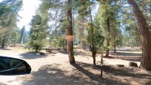 ГИГАНТСКИЙ СЕКВОЙЯ ПАРК, КЕМПИНГ В ЛЕСУ. ПУТЕШЕСТВИЕ ПО АМЕРИКЕ #35